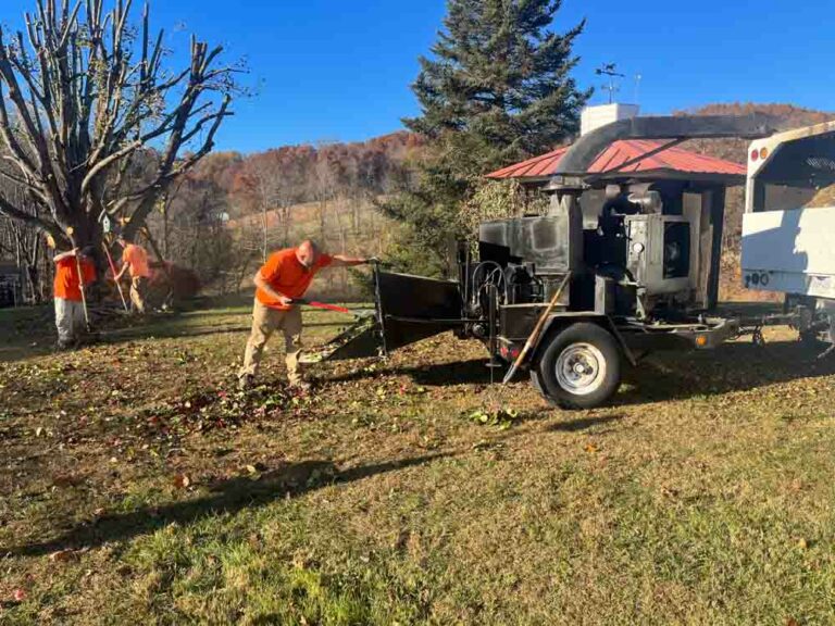 Land cleaning services by Lundy's Landscaping Services, professionals working on cleaning a land area