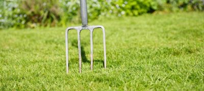 Lawn aeration using weed fork