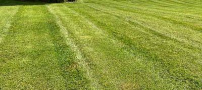 A wide lawn with noticeable lawn mower tracks