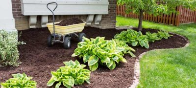 Mulch in a wheelbarrow, added to the soil to reduce weed growth and to maintain soil moisture