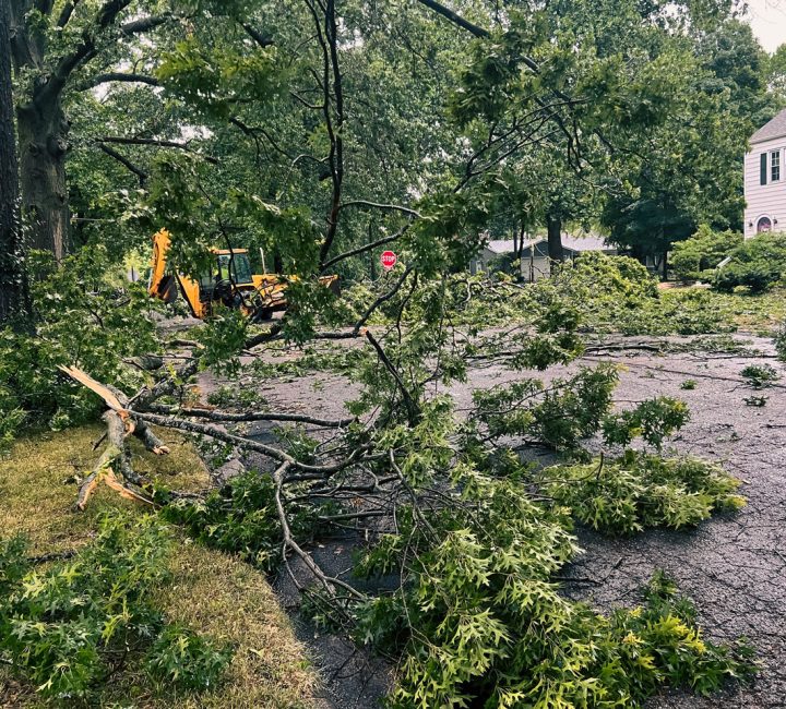 Debris from a storm, including a large fallen tree, littering a residential street.